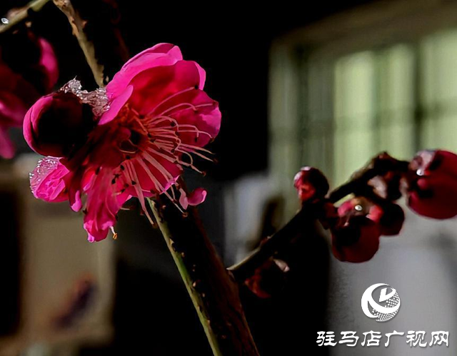 熱愛(ài)讓我們心甘情愿