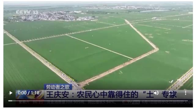 央媒觀豫丨在農(nóng)田里辦公 這個(gè)“土”專家，中！