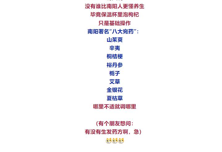 這就是，南陽！