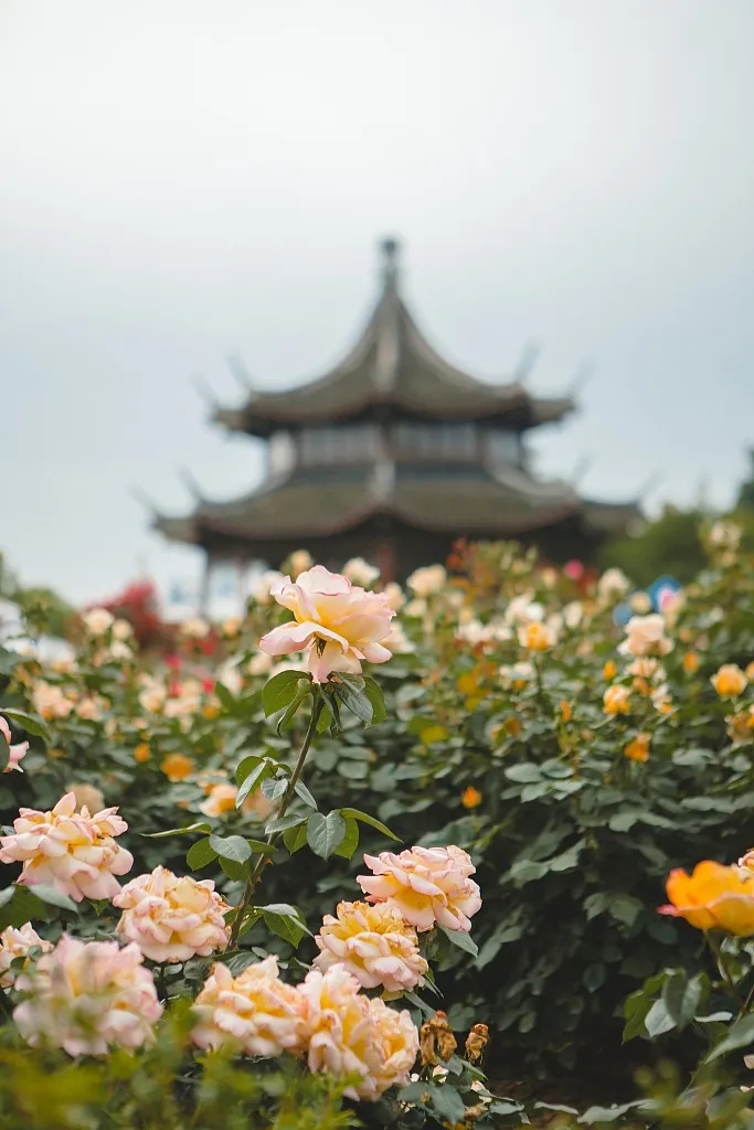 這就是，南陽！