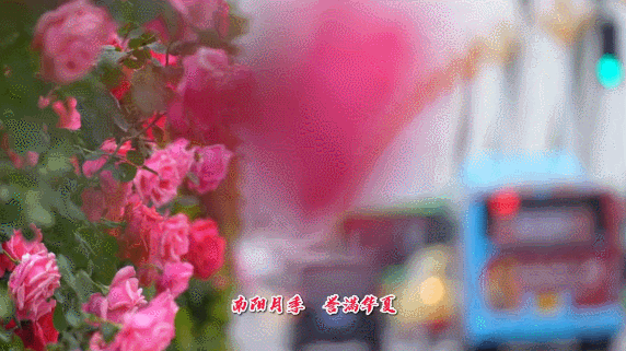 這就是，南陽！