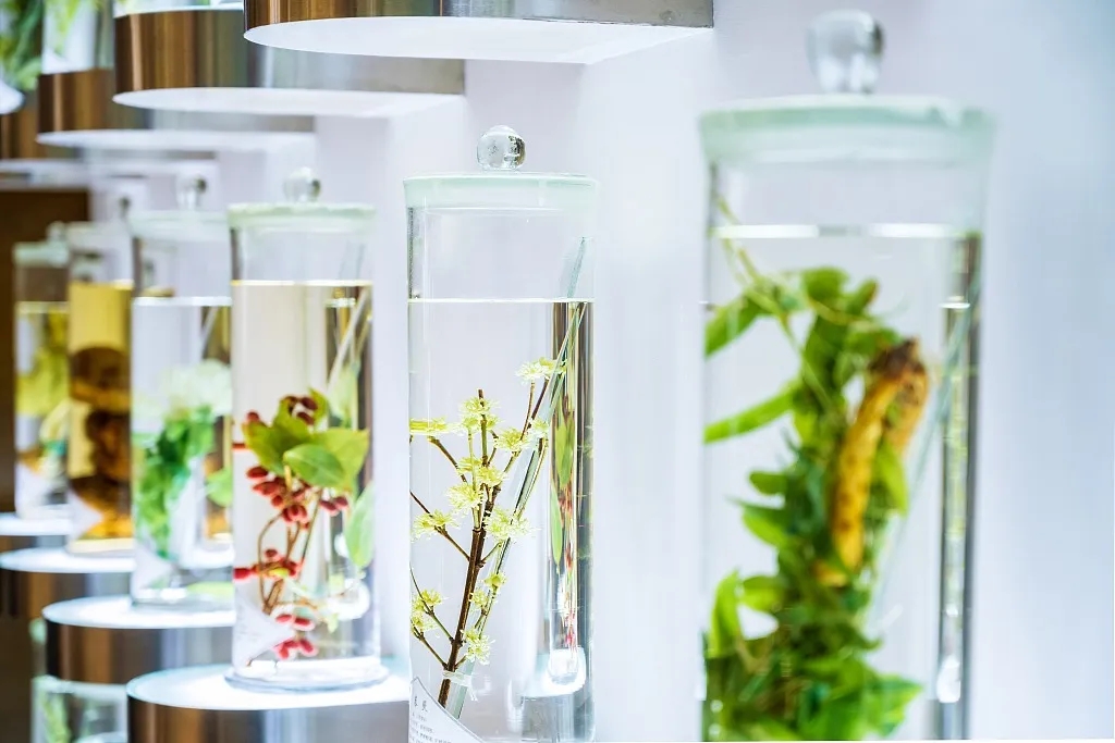 這就是，南陽！