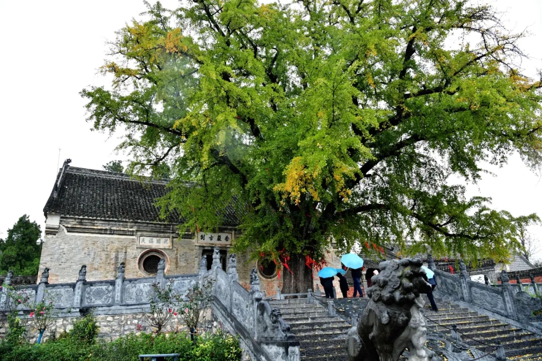 這就是，南陽！