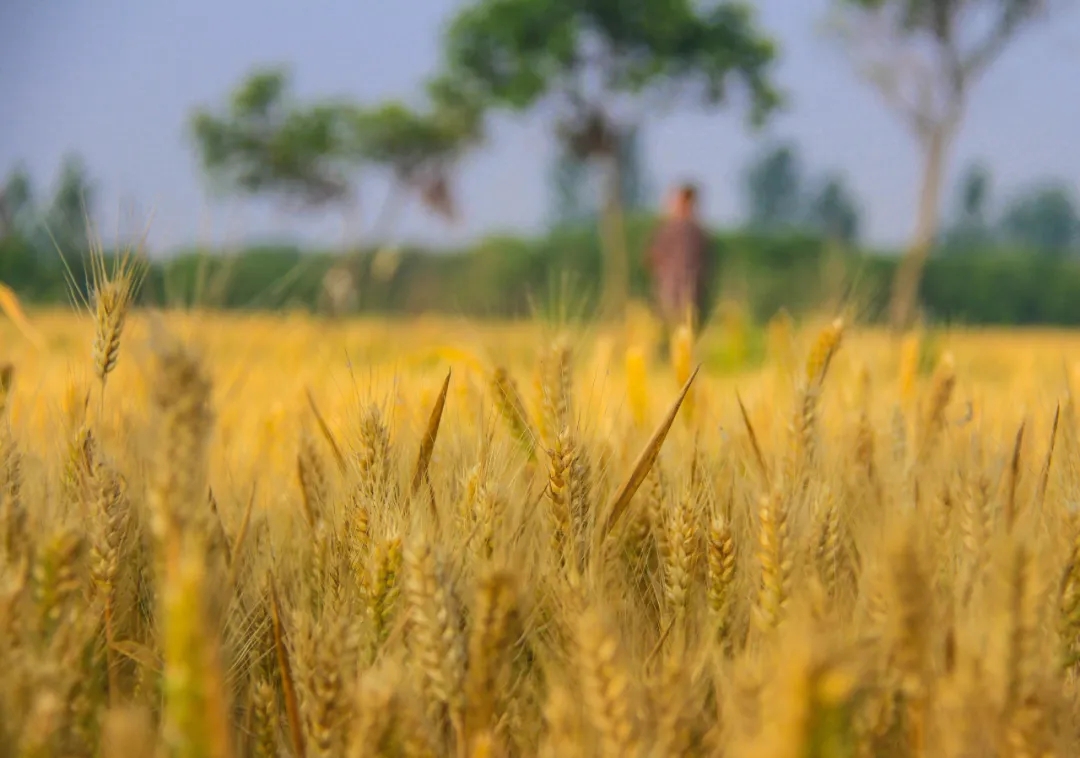 這就是，南陽！