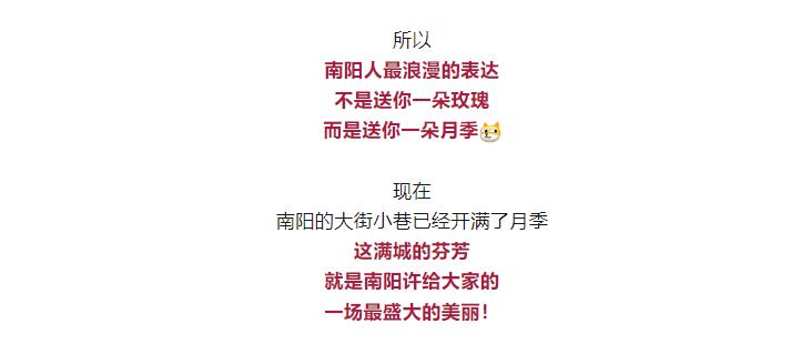 這就是，南陽！