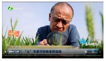 王慶安：“土”專家守好糧食鐵飯碗丨“手”創(chuàng)河南