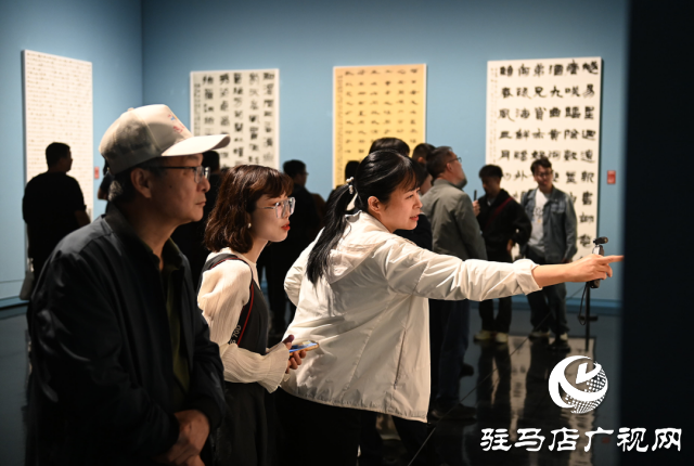泌陽縣書法家協(xié)會(huì)會(huì)員齊聚，共賞全國(guó)第十三屆書法篆刻展