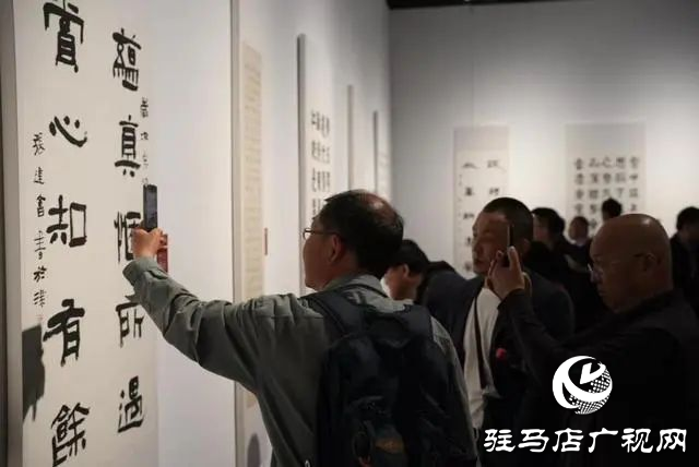 泌陽縣書法家協(xié)會(huì)會(huì)員齊聚，共賞全國(guó)第十三屆書法篆刻展
