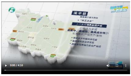 縣域之變看崛起丨濮陽(yáng)清豐：毫末之木“家”出百億大產(chǎn)業(yè)
