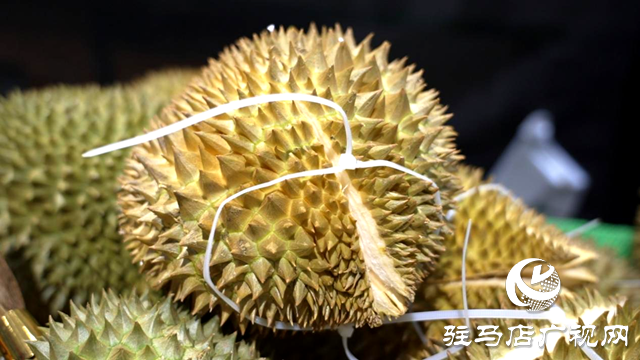 榴蓮迎來銷售旺季 價(jià)格有望“繼續(xù)下探”