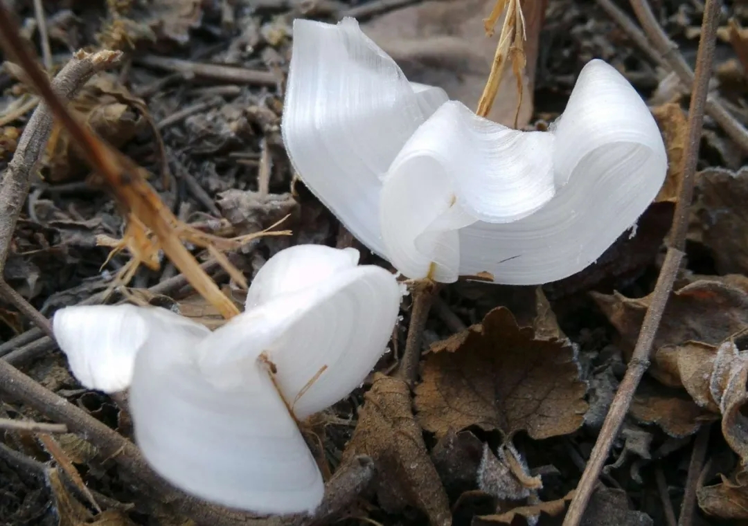 河南一藥企年收增長(zhǎng)超30%，連續(xù)三年為員工加薪10%｜民營(yíng)企業(yè)向新進(jìn)化