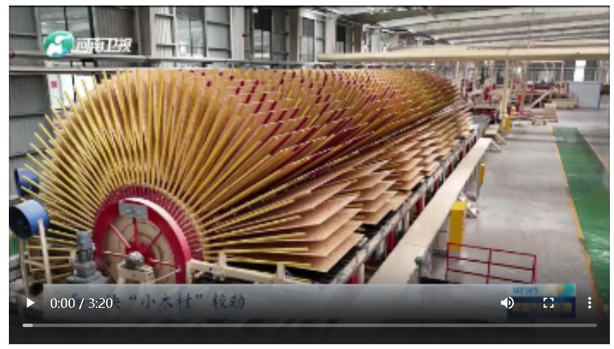 一棵樹“生”出百億級產(chǎn)業(yè)鏈 | 中部崛起 河南擔(dān)當(dāng)