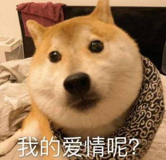 “520”送束“現(xiàn)金花”？有點(diǎn)說“法”！