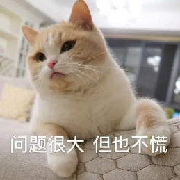 “520”送束“現(xiàn)金花”？有點(diǎn)說“法”！