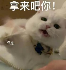 “520”送束“現(xiàn)金花”？有點(diǎn)說“法”！