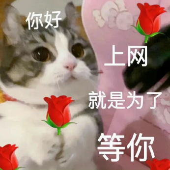 “520”送束“現(xiàn)金花”？有點(diǎn)說“法”！