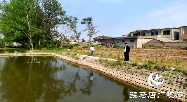 駐馬店市生態(tài)環(huán)境局遂平分局開展農村黑臭水體現場后督查工作