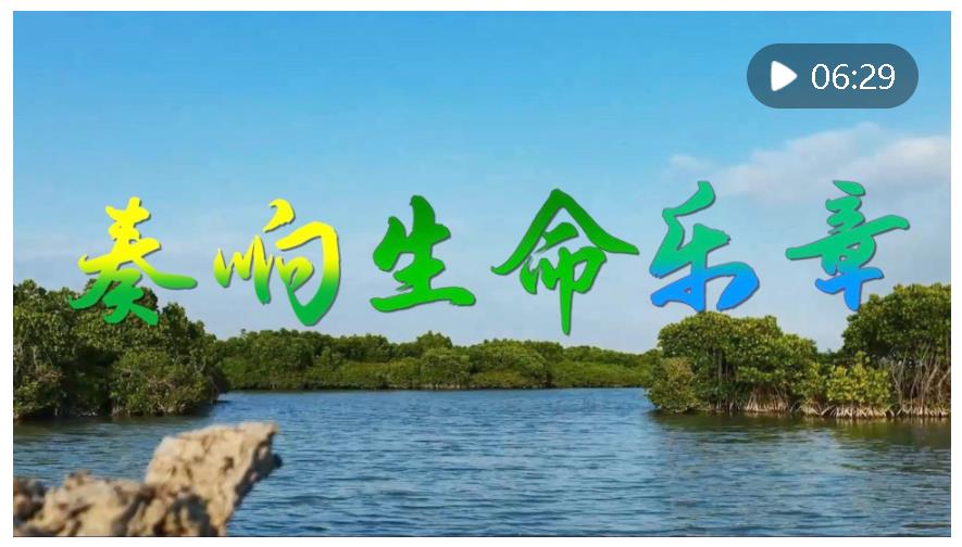 微視頻｜奏響生命樂章