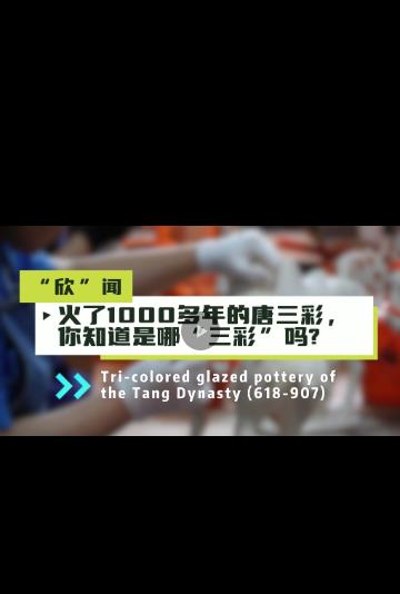 好看好玩實(shí)力“圈粉”！洛陽唐三彩驚艷亮相文博會(huì)