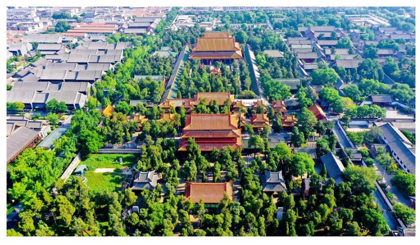 學習進行時丨習近平總書記和山東的故事