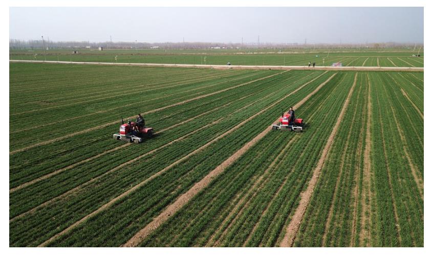 學習進行時丨習近平總書記和山東的故事