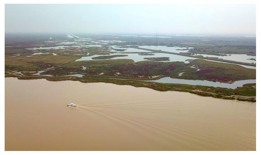 學習進行時丨習近平總書記和山東的故事