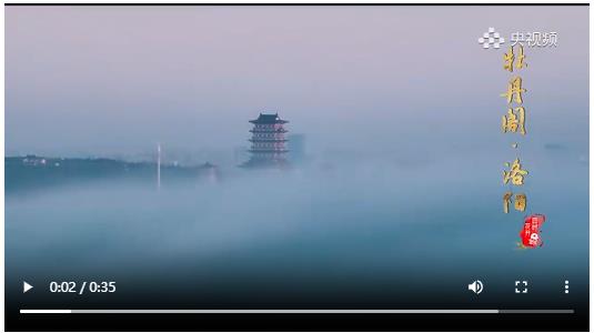 《四時(shí)花開》系列微短劇第一支，《洛陽(yáng)牡丹》驚艷綻放！