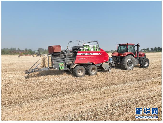 河南鎮(zhèn)平:糧歸倉 稈變寶