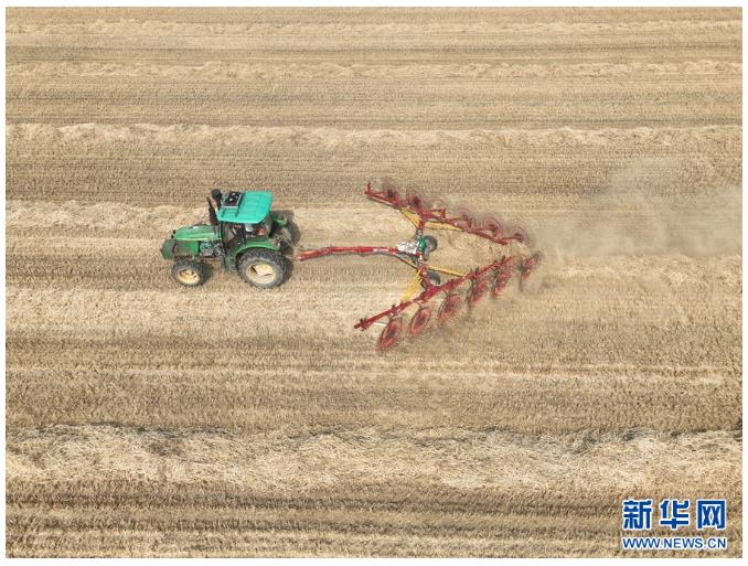 河南鎮(zhèn)平:糧歸倉 稈變寶