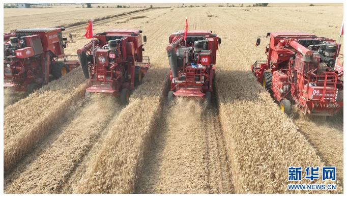 河南鎮(zhèn)平:糧歸倉 稈變寶