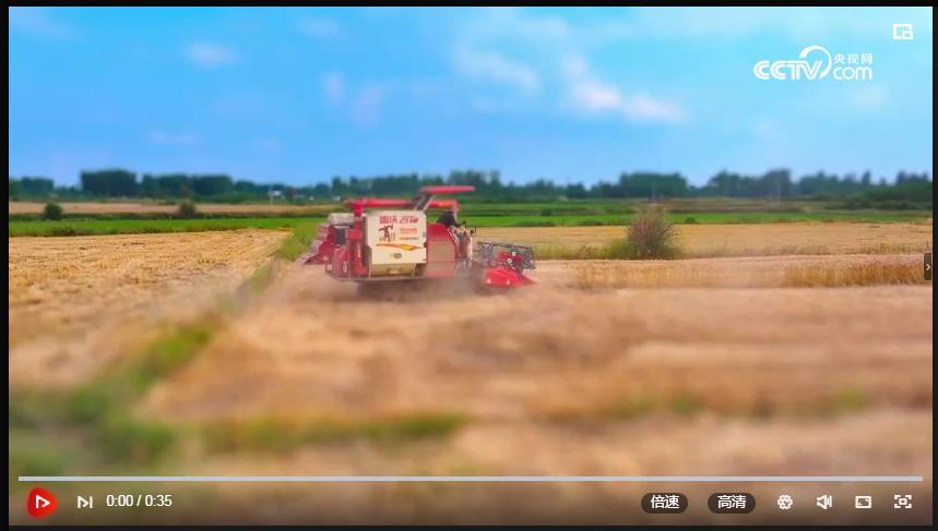 農(nóng)田里的“動畫片”：一邊收獲 一邊耕耘 忙碌又可愛