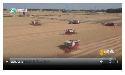 麥?zhǔn)毡澈蟮呐谋Ｕ县胞湣毕蜇S收·三夏進行時