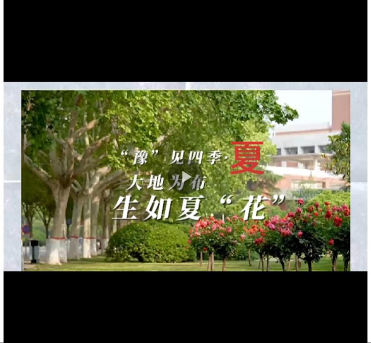 “豫”見四季·夏丨河南“花兒”讓顏值變產(chǎn)值