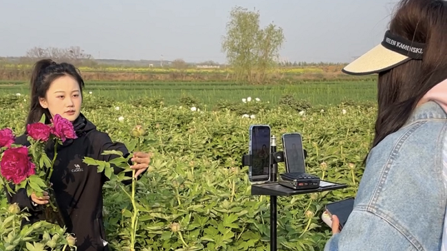 “豫”見四季·夏丨河南“花兒”讓顏值變產(chǎn)值