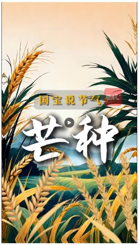 文脈華章｜國寶里的“芒種”，生生不息的華夏密碼