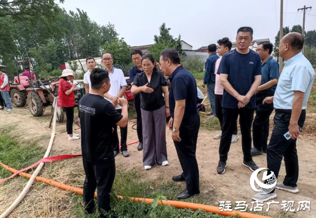 駐馬店市城鄉(xiāng)一體化示范區(qū)管委會(huì)主任馬桂榮調(diào)研抗旱保夏種工作