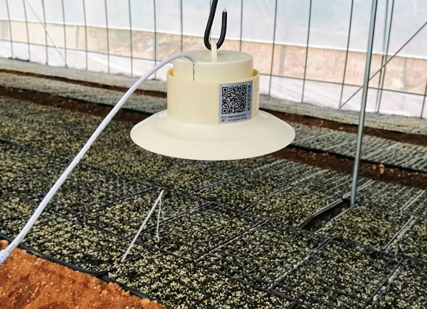 數(shù)字化河南“養(yǎng)”成記③｜融入現(xiàn)代社會 數(shù)字“智治力”顯神通