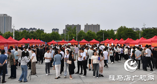 3000個(gè)崗位！駐馬店專場(chǎng)招聘會(huì)助力退役軍人就業(yè)