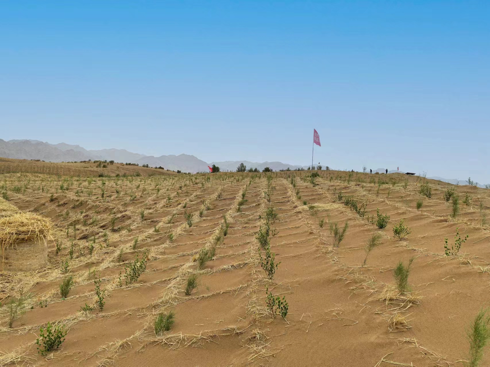 習(xí)近平總書記關(guān)切事 | 為了綠色長城萬里長——“三北”工程攻堅戰(zhàn)一線見聞