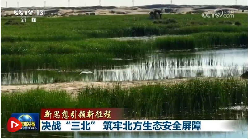 【新思想引領(lǐng)新征程】決戰(zhàn)“三北” 筑牢北方生態(tài)安全屏障 