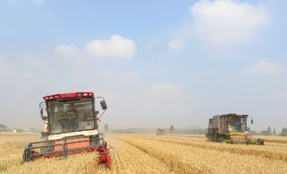 央媒觀豫 | 人民日報:“云”上約農(nóng)機 夏收更高效