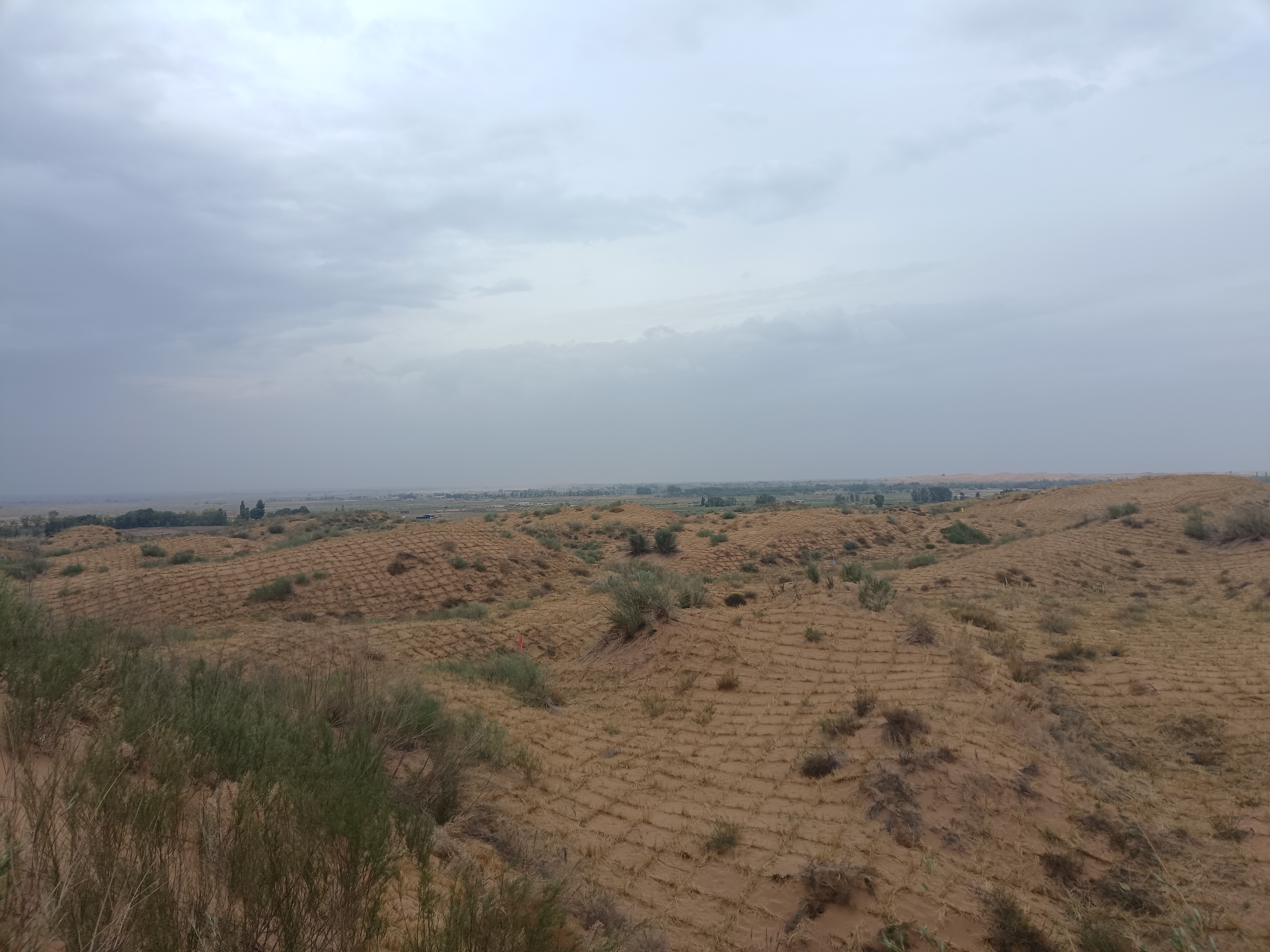 習(xí)近平總書記關(guān)切事 | 為了綠色長城萬里長——“三北”工程攻堅戰(zhàn)一線見聞