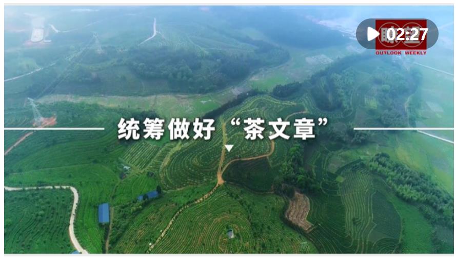 瞭望·治國(guó)理政紀(jì)事｜統(tǒng)籌做好“茶文章