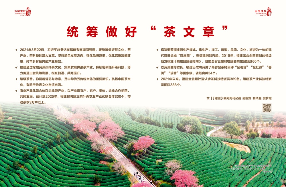 瞭望·治國(guó)理政紀(jì)事｜統(tǒng)籌做好“茶文章