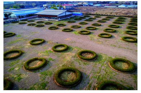 “豫”見大運(yùn)河的前世今生