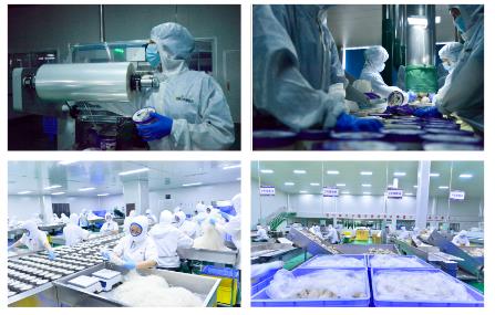 “我在小縣看中國”網(wǎng)絡主題活動在開封通許啟動