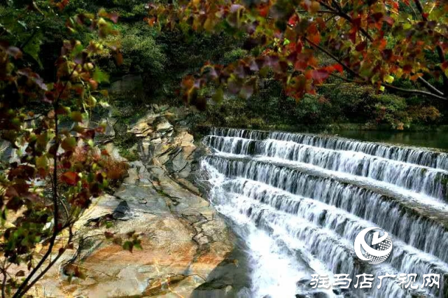 探尋河南泌陽，感受文明縣城里的美麗家鄉(xiāng)風(fēng)情