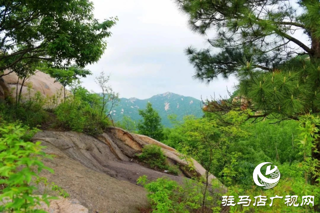 探尋河南泌陽，感受文明縣城里的美麗家鄉(xiāng)風(fēng)情