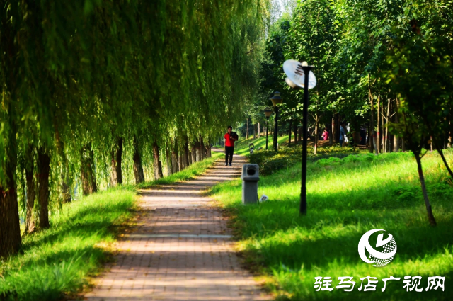 探尋河南泌陽，感受文明縣城里的美麗家鄉(xiāng)風(fēng)情