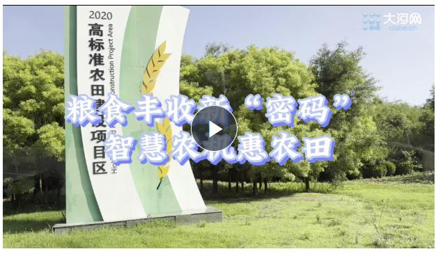 新時代中部崛起看河南丨“鐵牛”上技能 玉米田里跑出“智慧”軌跡